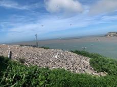 【中国】「コミュ障」にぴったり？　無人島で海鳥をモニタリングする求人が話題